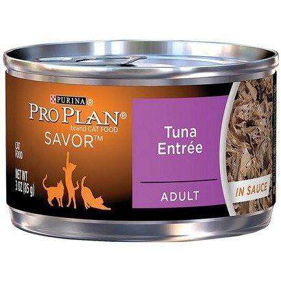 Purina Pro Plan Adult Complete Essentials Tuna Entrée in Sauce Wet Cat Food  Canned Cat Food  | PetMax Canada