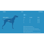 RC Pets Luna High Visibility Reflective Vest - Medium - Outdoor Gear - RC Pet Products - PetMax Canada