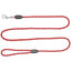 RC Dog Rope Leash Red  Leashes  | PetMax Canada