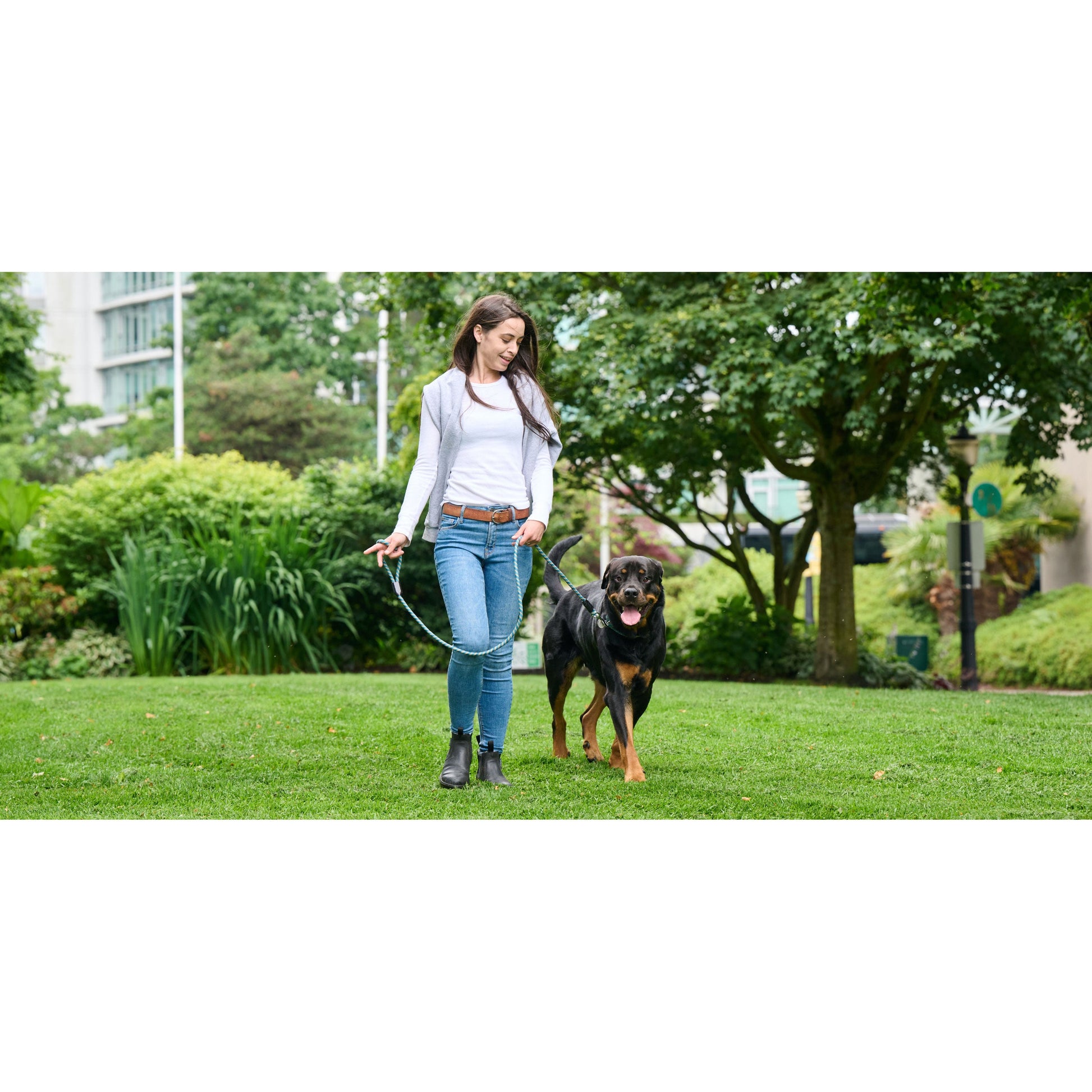RC Dog Rope Leash Black  Leashes  | PetMax Canada