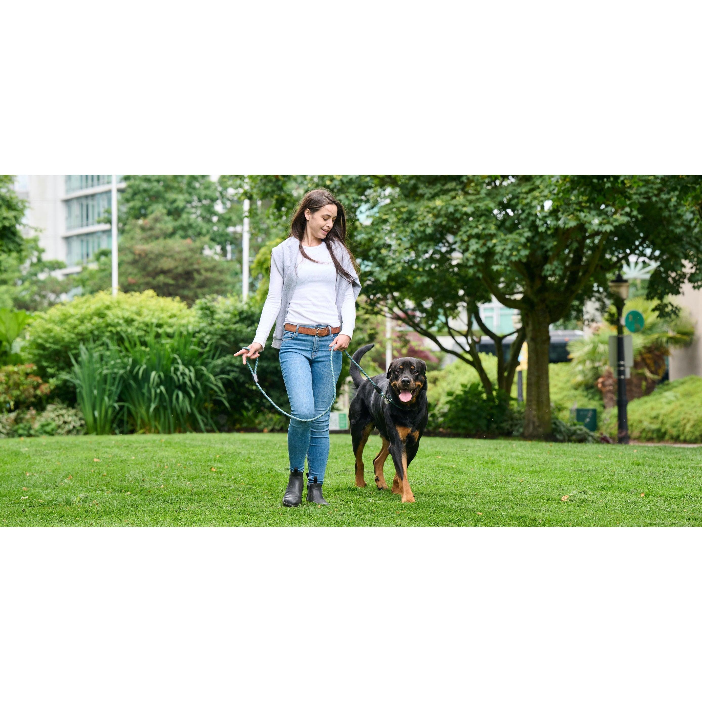RC Dog Rope Leash Dark Teal - 5/16" x 5' - Leashes - RC Pet Products - PetMax Canada