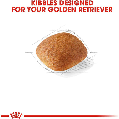Royal Canin Golden Retriever Adult Dry Dog Food - 13.6 Kg - Dog Food - Royal Canin - PetMax Canada