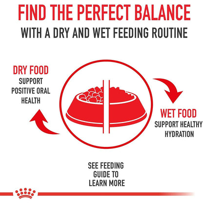Royal Canin German Shepherd Dog Food - 13.6 Kg - Dog Food - Royal Canin - PetMax Canada