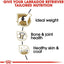 Royal Canin Labrador Retriever Dog Food - 13.6 Kg - Dog Food - Royal Canin - PetMax Canada