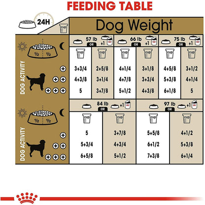 Royal Canin Labrador Retriever Dog Food - 13.6 Kg - Dog Food - Royal Canin - PetMax Canada