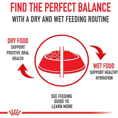 Royal Canin Feline Health Nutrition Indoor Adult Dry Cat Food - 1.37 Kg - Cat Food - Royal Canin - PetMax Canada
