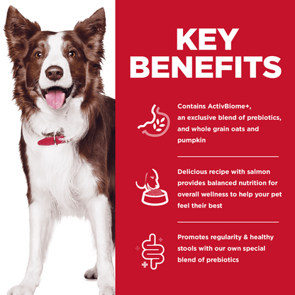 Hill's Science Diet Adult Perfect Digestion Salmon, Whole Oats, and Brown Rice Recipe Dog Food - 1.59 Kg - Dog Food - Hill's Science Diet - PetMax Canada
