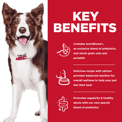 Hill's Science Diet Adult Perfect Digestion Salmon, Whole Oats, and Brown Rice Recipe Dog Food - 1.59 Kg - Dog Food - Hill's Science Diet - PetMax Canada