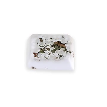 Living World Small Animal Mineral Block Dandelion - 40g - Small Animal Chew Products - Living World - PetMax Canada