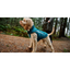 RC Dog Coat Shasta Dark Teal Chevron  Coats  | PetMax Canada