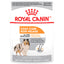 Royal Canin Wet Dog Food Pouch All Breed Sizes Coat Care Loaf In Gravy  Canned Dog Food  | PetMax Canada